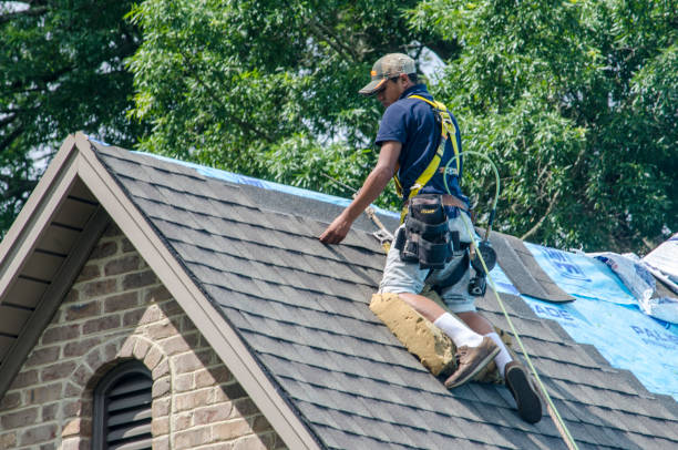 Best Shingle Roofing Installation  in Palouse, WA